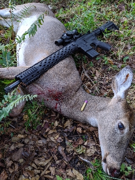 rifle deer.jpg